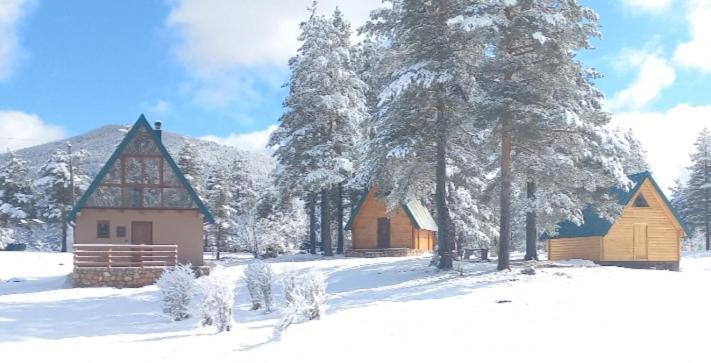 Chalet Cilac Žabljak Eksteriør bilde